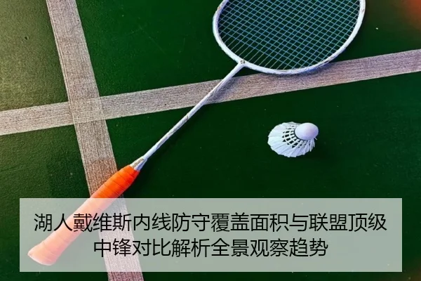 湖人戴维斯内线防守覆盖面积与联盟顶级中锋对比解析全景观察趋势