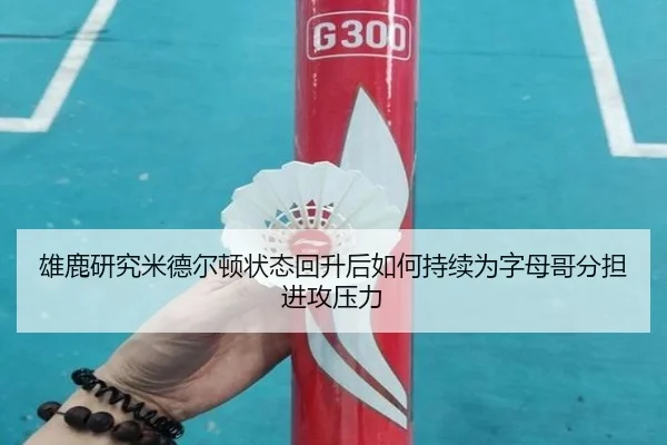 雄鹿研究米德尔顿状态回升后如何持续为字母哥分担进攻压力